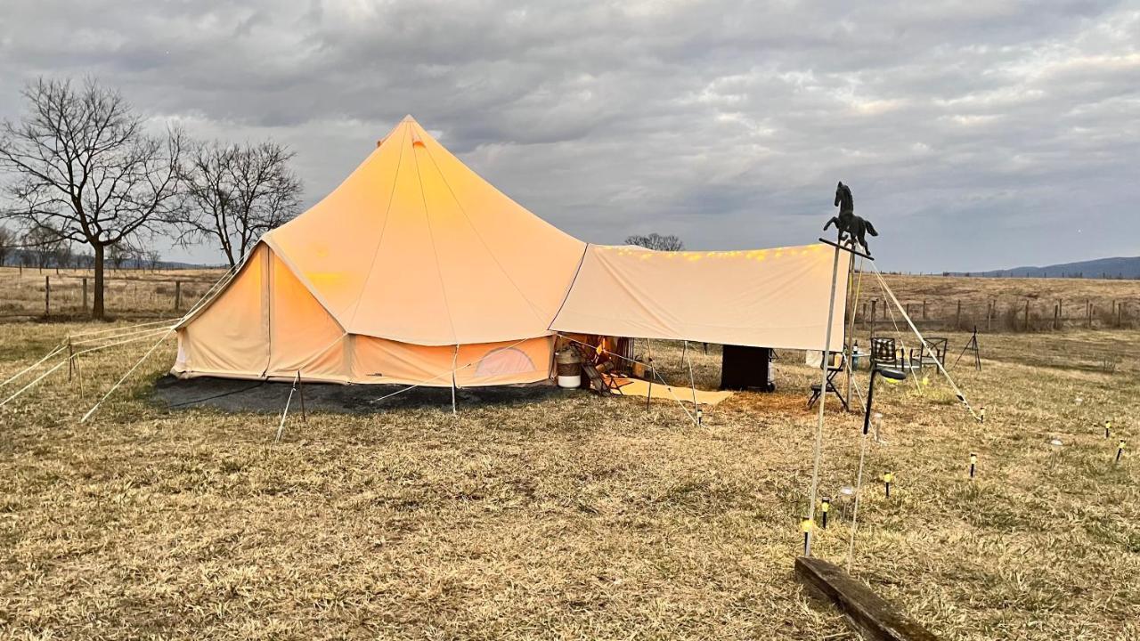 Shenandoah Valley Glamping - Amazing Views - Farm Edinburg Bagian luar foto