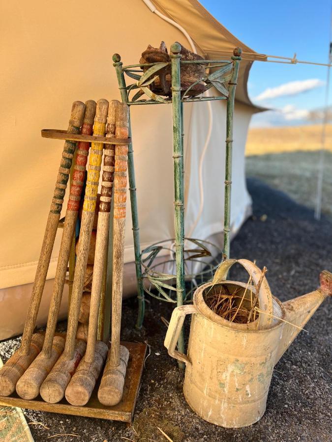 Shenandoah Valley Glamping - Amazing Views - Farm Edinburg Bagian luar foto