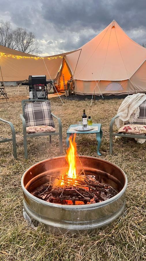 Shenandoah Valley Glamping - Amazing Views - Farm Edinburg Bagian luar foto