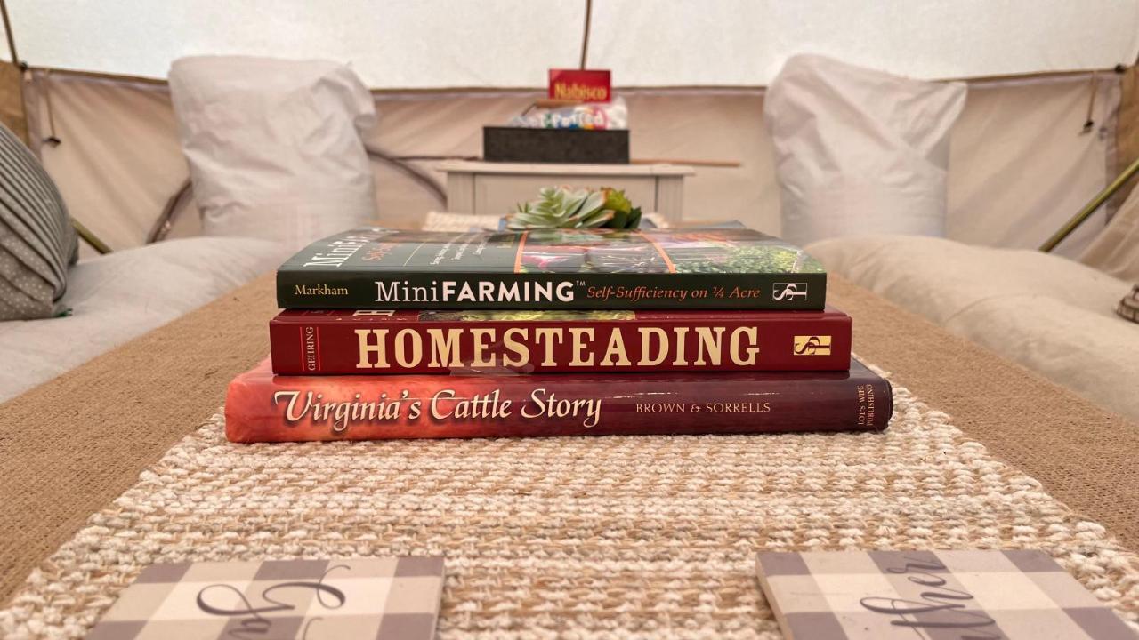 Shenandoah Valley Glamping - Amazing Views - Farm Edinburg Bagian luar foto