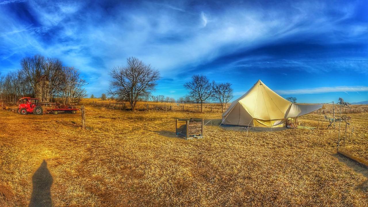 Shenandoah Valley Glamping - Amazing Views - Farm Edinburg Bagian luar foto