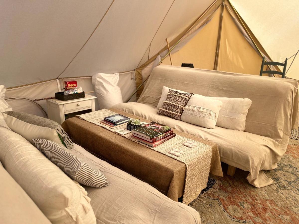 Shenandoah Valley Glamping - Amazing Views - Farm Edinburg Bagian luar foto
